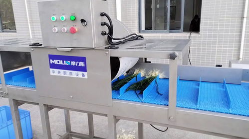 預(yù)制菜加工廠蔬菜去根機,香蔥芹菜白菜切根機